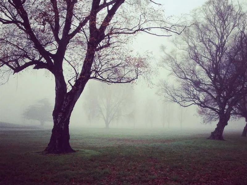 Smart home peaceful night with security systems active